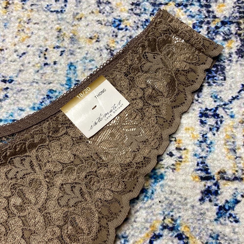 NWT Vintage Intimates by Lane Bryant Bronze Lace Bow Accent High Cut Thong 18/20 - Picture 2 of 9